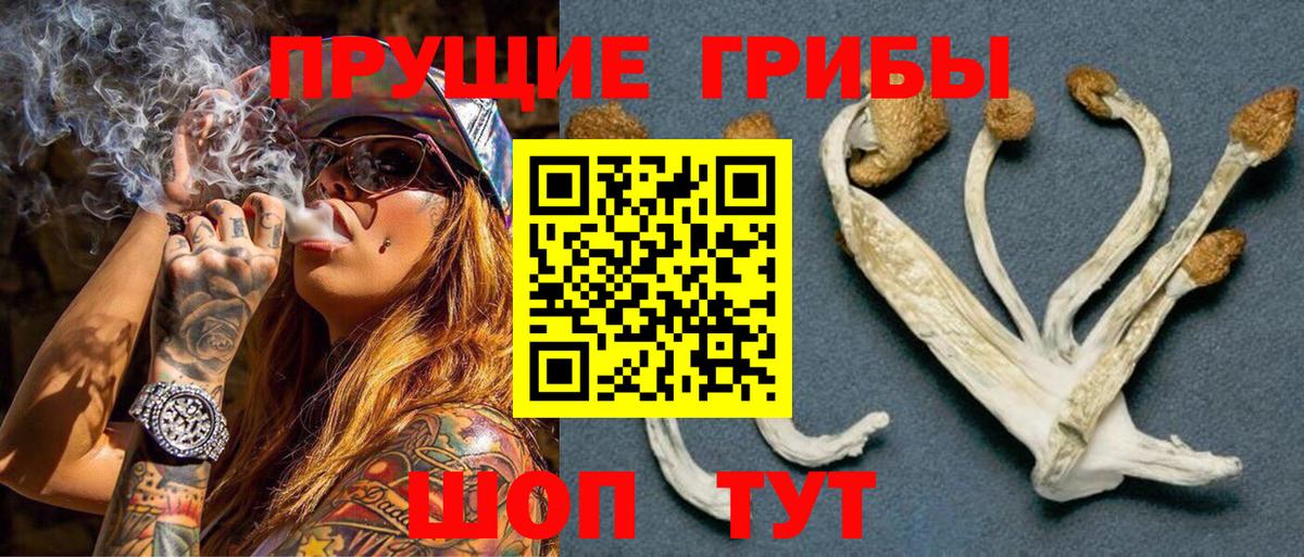 Реутов  Псилоцибиновые грибы мицелий  Вход с VPN 